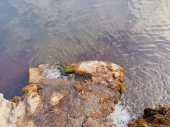 -南京珍珠泉风景区