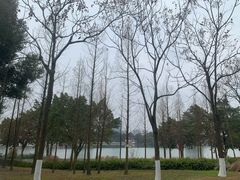 -眉山湿地公园(东坡区)