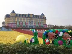 -百万葵园