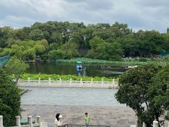 -桂湖森林公园