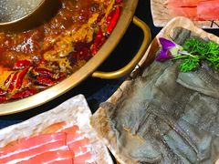 毛肚-小龙坎火锅(阳泉店)