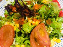 蔬菜沙拉-NIUAN牛庵·日式和牛烧肉(恒隆店)
