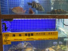 水产区-杭越海鲜(迪荡店)