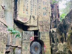 -铁山坪森林公园