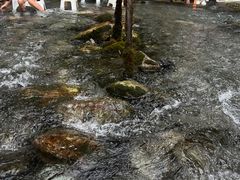 -源泉冷水鱼庄(小鱼洞店)
