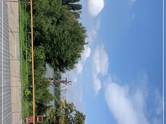 -华侨城湿地公园