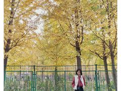 -汉景帝阳陵博物院