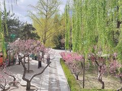 -团结湖公园