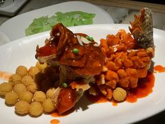 -吴越荣记苏州菜·松鼠桂鱼 100% 活鱼现做(月光码头店)