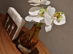-来龙里 精致 东南亚餐室(万象城店)