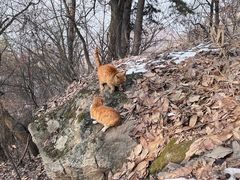 -终南山南五台景区