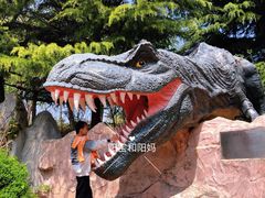 -青岛方特梦幻王国