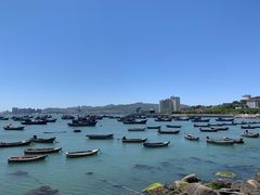 -海源公园