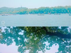 -西湖外事游船(花港观鱼码头)