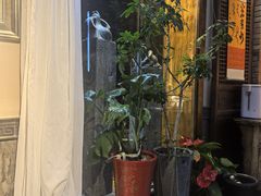 -满乡小馆
