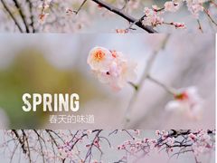 -白塘生态植物园