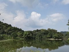 -广州市石门国家森林公园
