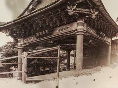 -老蒲鲜·地标·非遗美食(涵江店)