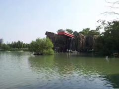 -青枫公园