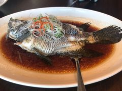 -环球港凯悦 · 享悦中餐厅