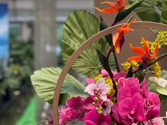 -曲江惠宾苑宾馆(大雁塔大唐不夜城店)