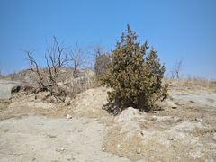 -白水寺森林公园