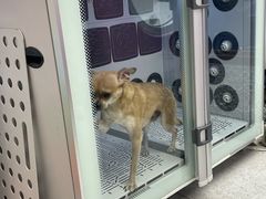 -FAELING PETS美天灵宠物(富力广场店)