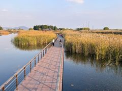 -苏州太湖湖滨国家湿地公园
