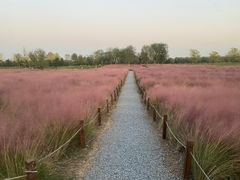 -汉长安城未央宫国家考古遗址公园