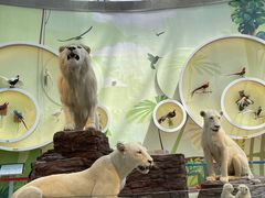 -陕西自然博物馆