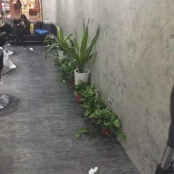 大厅-发饰美男士增发补发假发定制店