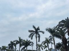 -白鹭洲公园