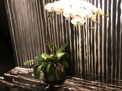-香港港威酒店-马哥孛罗