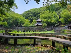 -忠山公园