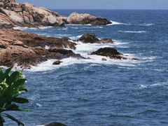 -广东惠东海龟国家级自然保护区