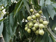 -南京市实验幼儿园