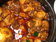 -陈麻婆豆腐总店