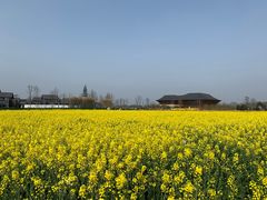 -中国天府农业博览园