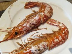 -齐河孔雀王温泉酒店·金孔雀自助百汇