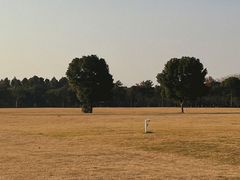 -山明水秀大饭店