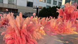 -北京嘉里大酒店·宴会厅婚宴·户外婚礼·生日宴