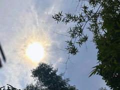 -望江楼公园