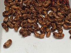 -映像威海·海鲜味道(经区店)