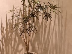 -二酉书店TOYOU BOOKS