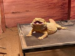 -多彩贵州城极地海洋世界