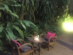 -Fern Forest Cafe