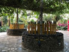 -呀路古热带植物园