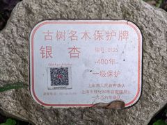 -上海方塔园