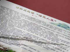 -活死人墓