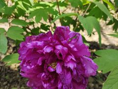 -江南大学(蠡湖校区)